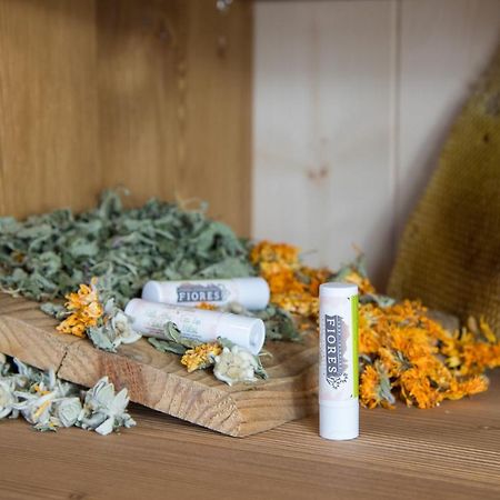 Eco-Green Fiores Agriturismo Vigo di Fassa Ngoại thất bức ảnh