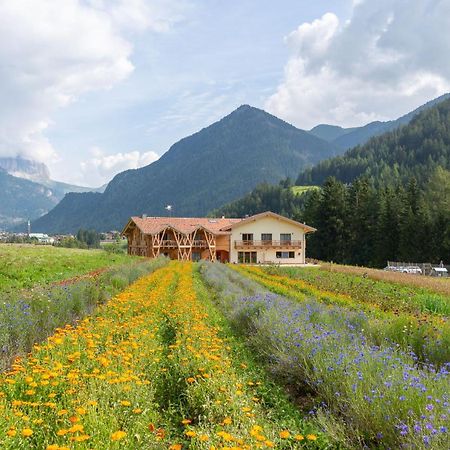 Eco-Green Fiores Agriturismo Vigo di Fassa Ngoại thất bức ảnh