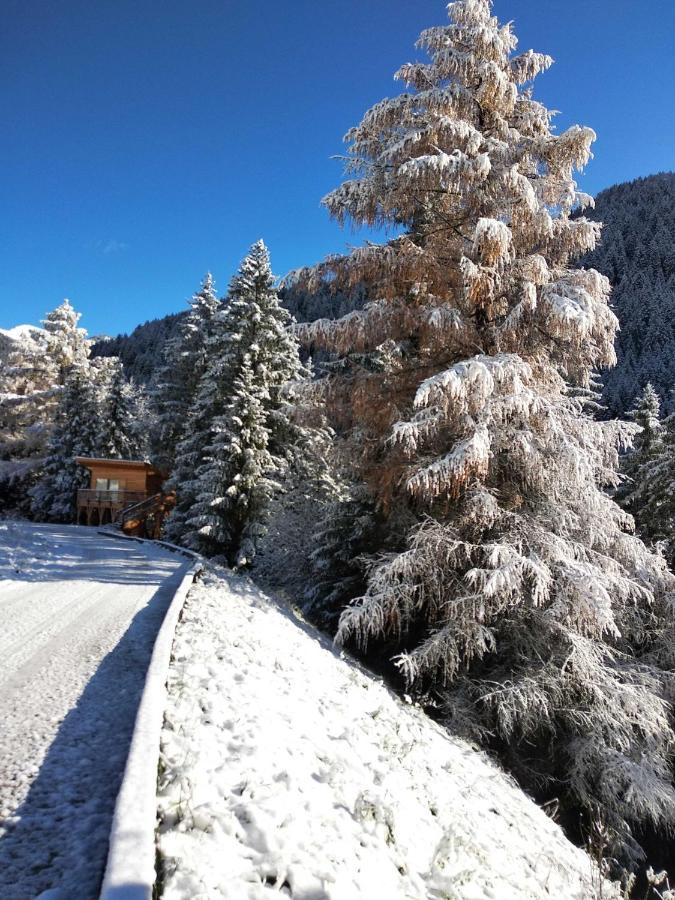 Eco-Green Fiores Agriturismo Vigo di Fassa Ngoại thất bức ảnh