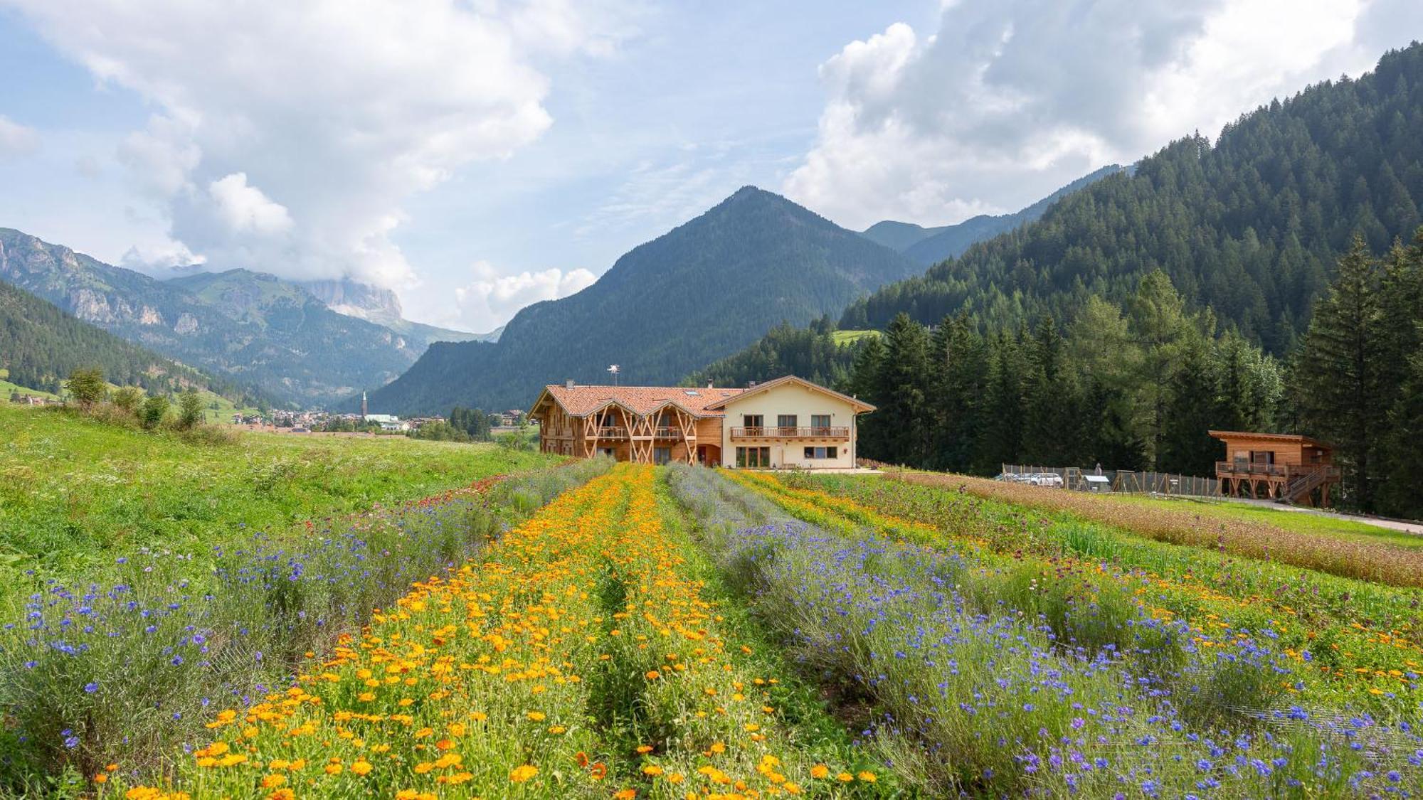 Eco-Green Fiores Agriturismo Vigo di Fassa Ngoại thất bức ảnh